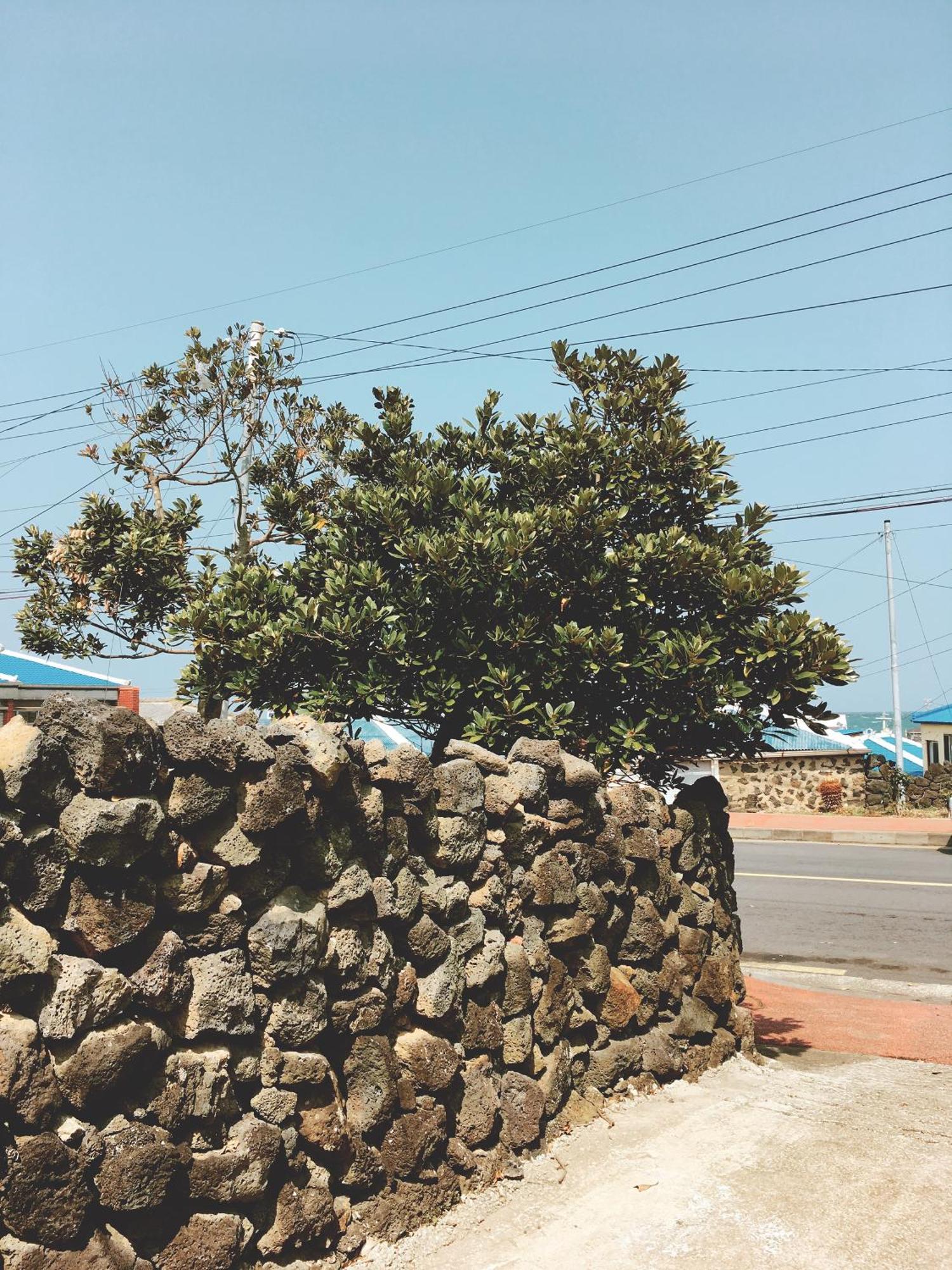 Shanti Shanti Guest House Jeju Exterior foto